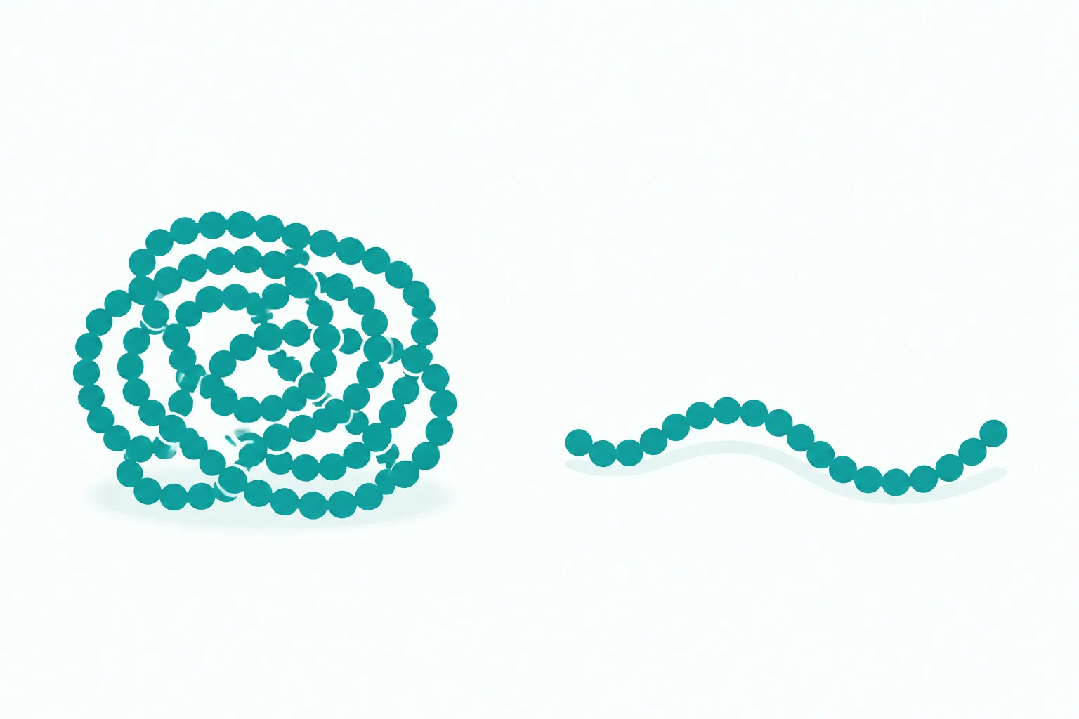 A long beaded chain settled into a rounded tangle on the left, and a short piece of the same chain lying loose and open on the right