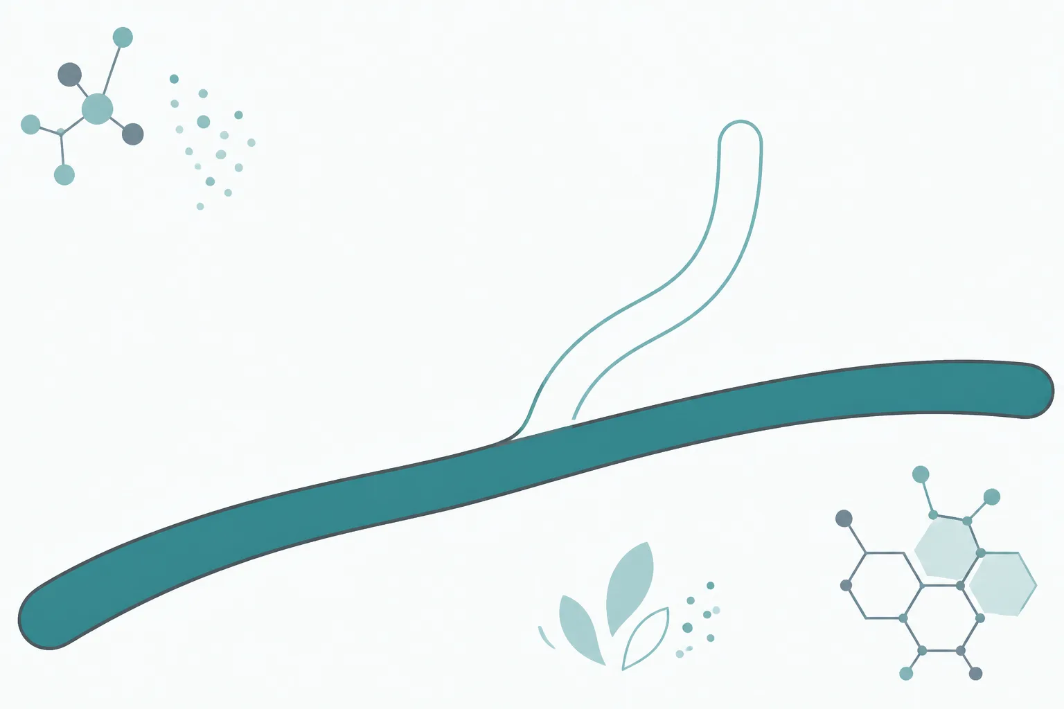 Clean abstract illustration of a soft teal path running across an off-white field, with a second fainter path branching away from it into open space