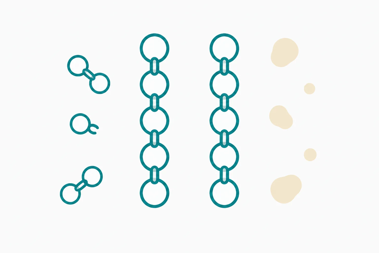Illustration of two identical short chains of rounded beads side by side, one surrounded by a few loose broken chain fragments and the other by a few small soft round blobs