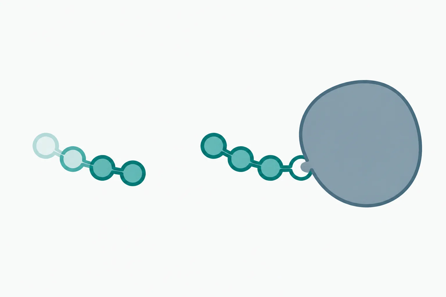 Abstract illustration of two short bead chains, one drifting alone and one attached by a small hook to a large slow-moving rounded shape