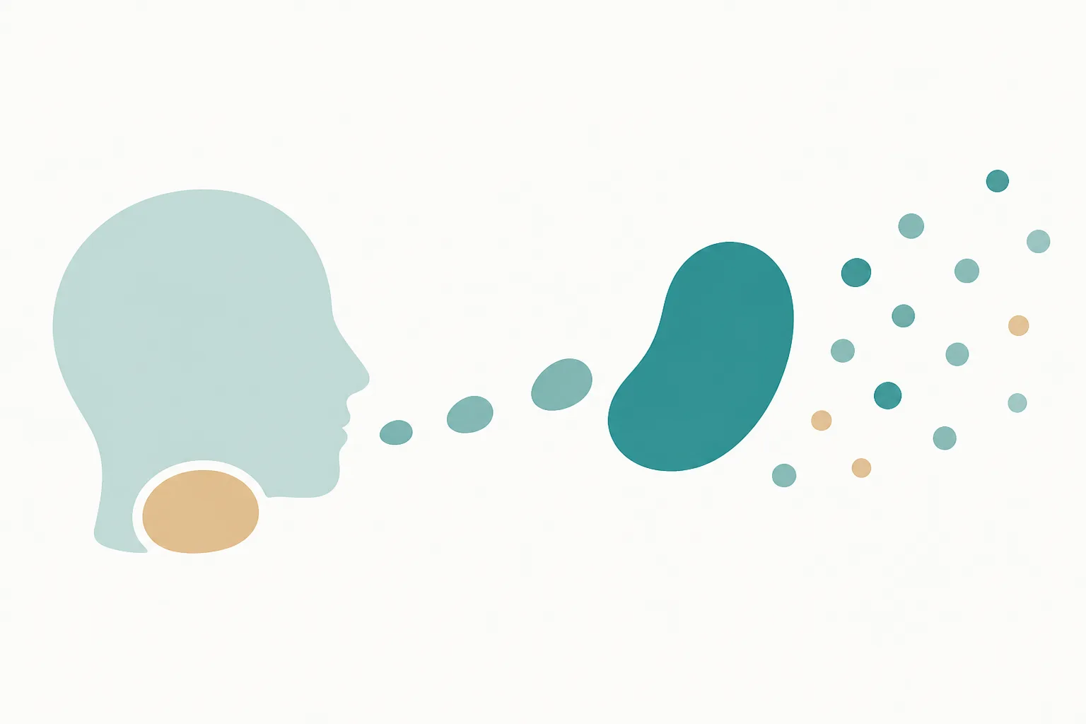 Friendly illustration of a small pea-shaped gland at the base of a rounded head seen in profile, releasing three separate droplets in a gentle curve toward a large smooth bean shape, with smaller dots drifting outward from the bean
