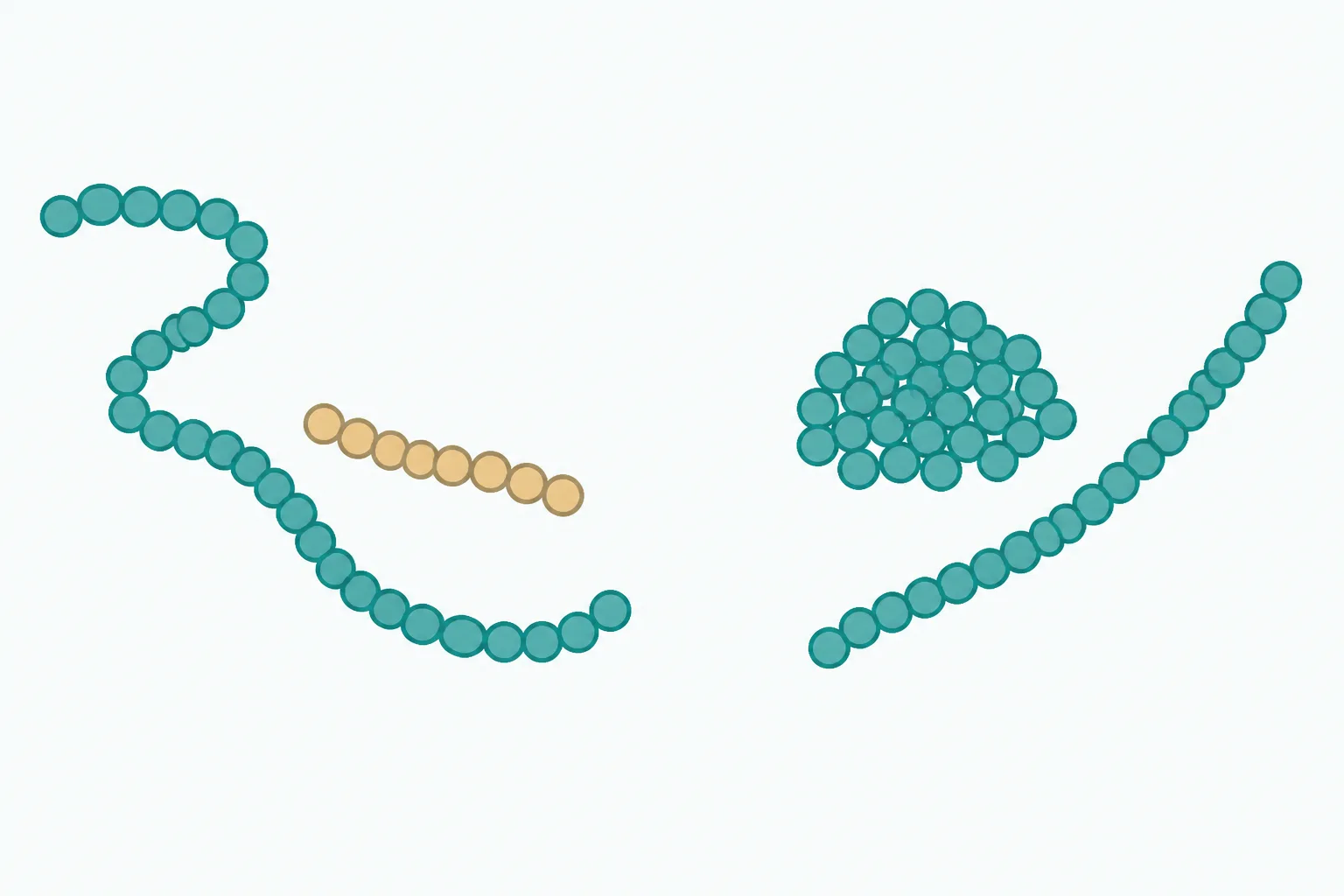 Friendly illustration with a long gentle chain of small rounded beads on the left and a short run of the same beads floating apart from it, and on the right a loose heap of identical small circles beside a line of those circles joined end to end into a single strand