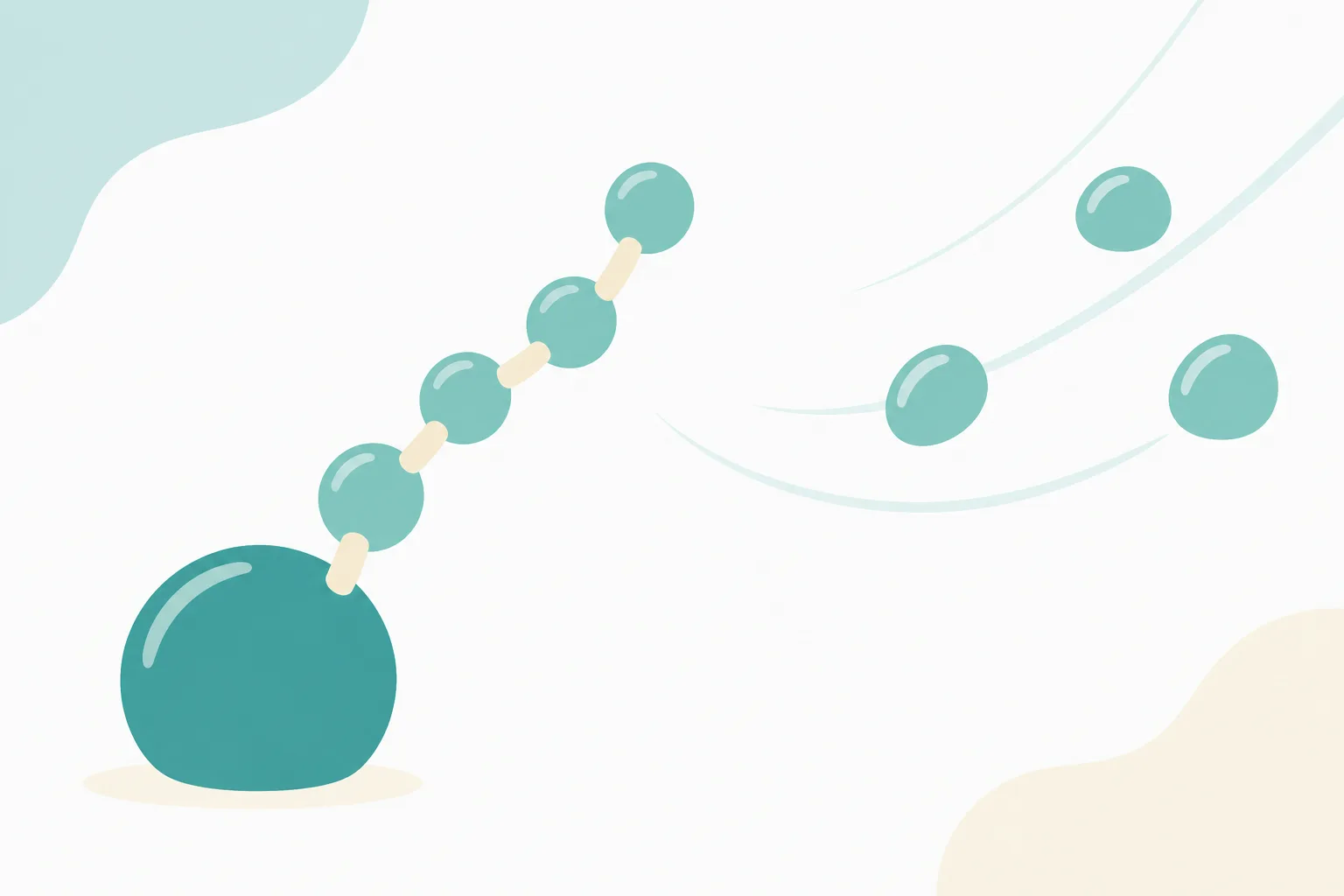 A short chain of rounded shapes growing upward from one large anchored bead, while loose shapes drift away to the side on soft curved lines